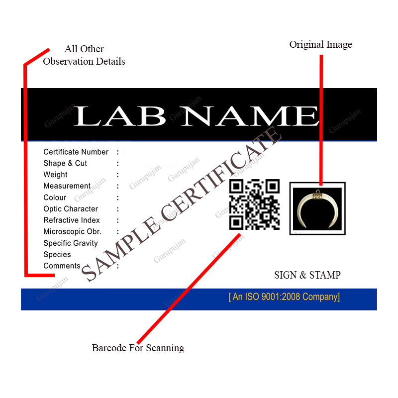 A lab-certified wild boar tooth pendant encased in a polished silver cap, displayed on a velvet box with a certificate of authenticity