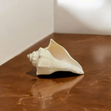 A natural Lakshami Shankh, lab-certified and sacred, used for Lakshmi Pujan and inviting prosperity and wealth into the home