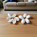 A natural White Cowry shell (Safed Kodi) symbolizing prosperity and protection, ideal for spiritual rituals, Puja offerings, and enhancing positive energy
