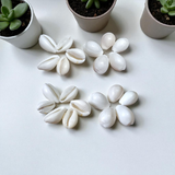 A natural White Cowry shell (Safed Kodi) symbolizing prosperity and protection, ideal for spiritual rituals, Puja offerings, and enhancing positive energy