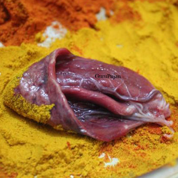 Billi Ki Jer - Billi Ki Nal - Lab Certificate - Original Energised for Business, Court Case, Vashikaran, and Lakshmi Prapti