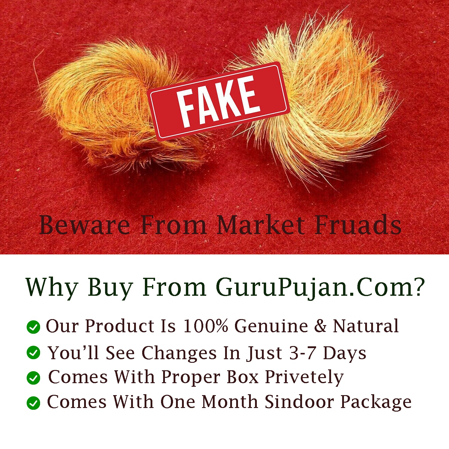 A pair of male and female Siyar Singhi placed on a spiritual altar with a certificate of authenticity, ready for use after energization