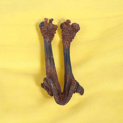 A rare and original Hatha Jodi Ayurvedic root, energized and placed on a sacred cloth, used for spiritual and tantric rituals