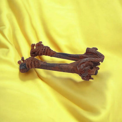 A rare and original Hatha Jodi Ayurvedic root, energized and placed on a sacred cloth, used for spiritual and tantric rituals