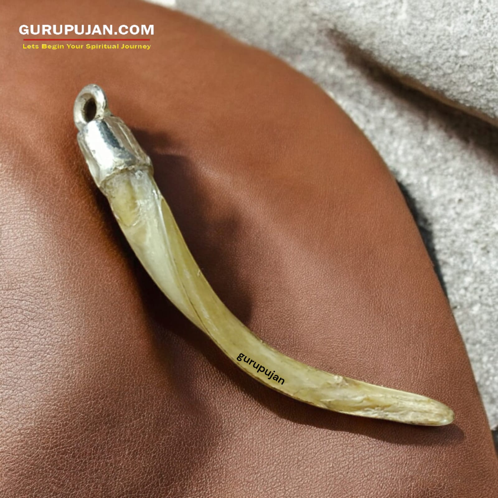 A silver pendant featuring an authentic owl nail (Ullu ke Nakhun) designed to attract luck, wealth, and prosperity.