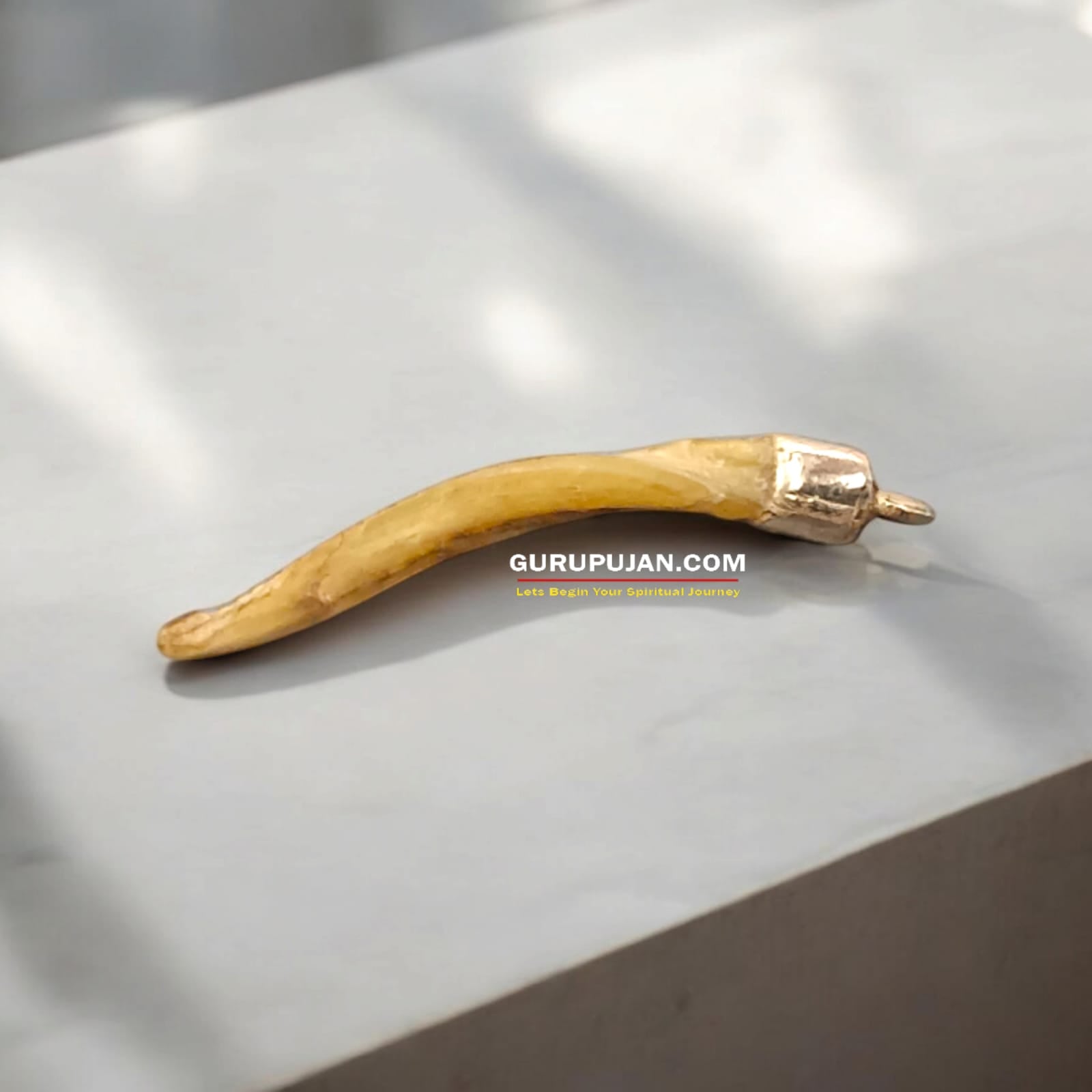 A silver pendant featuring an authentic owl nail (Ullu ke Nakhun) designed to attract luck, wealth, and prosperity.