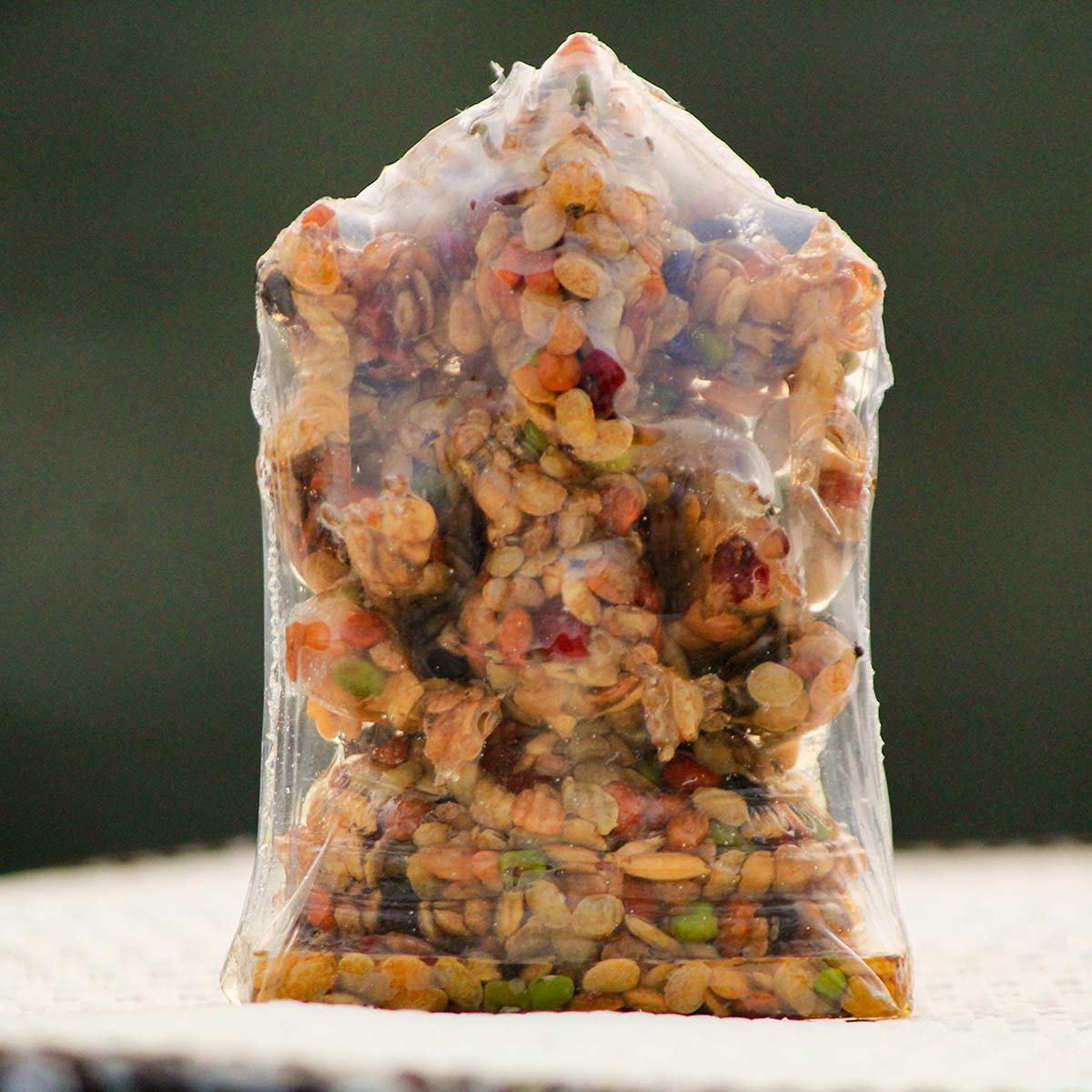 Anaji Ganesh idol for home, bringing prosperity, blessings, and protection from evil eyes.