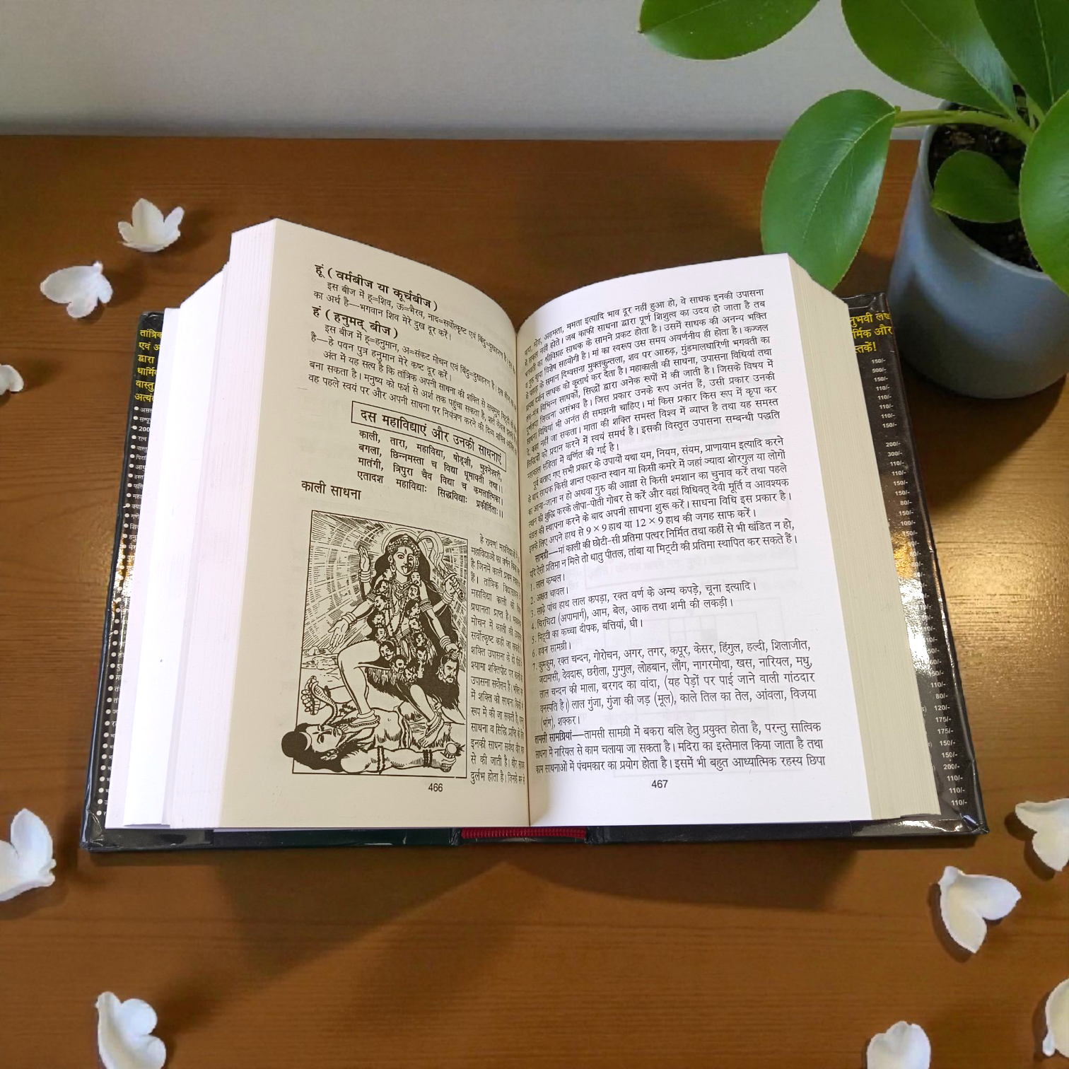 Asli Prachin Ravan Sanhita Book In Hindi with ancient tantra, mantra, and astrology knowledge