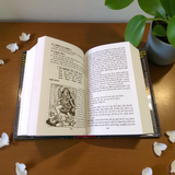Asli Prachin Ravan Sanhita Book In Hindi with ancient tantra, mantra, and astrology knowledge