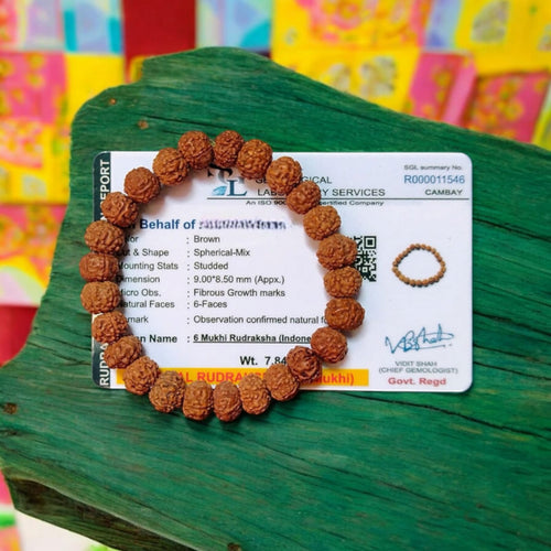 6 Mukhi Rudraksha Bracelet Lab Certified for Success & Courage