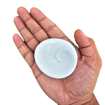 Big Gomati Chakra, a sacred and rare amulet for spiritual protection, prosperity, and good fortune.