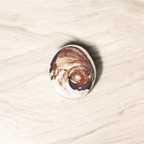 Big Size Gomati Chakra - Rare, Giant Lab Certified Stone used for spiritual protection, prosperity, and divine blessings