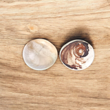 Big Size Gomati Chakra - Rare, Giant Lab Certified Stone used for spiritual protection, prosperity, and divine blessings
