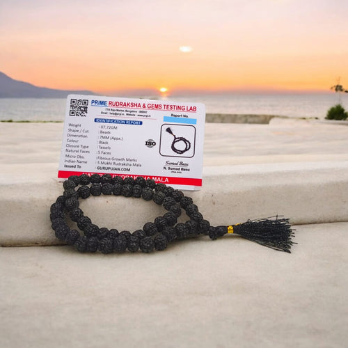 Black Rudraksha Mala 54+1 Beads Lab Certified for Jaap & Wear