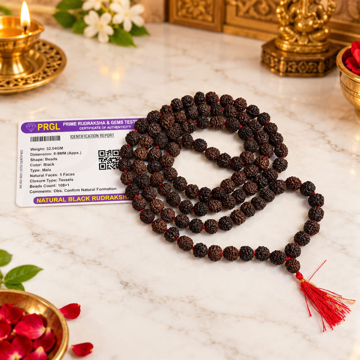 Black Rudraksha Mala and Bracelet Combo Lab Certified for Meditation Yoga