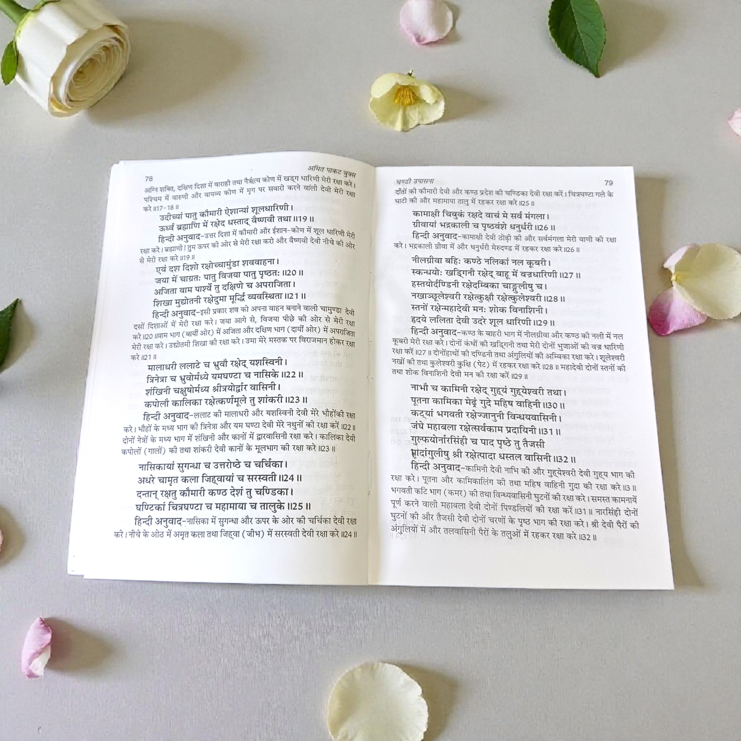Chandi Upasana In Hindi Book with spiritual mantras and Hindu devotional content
