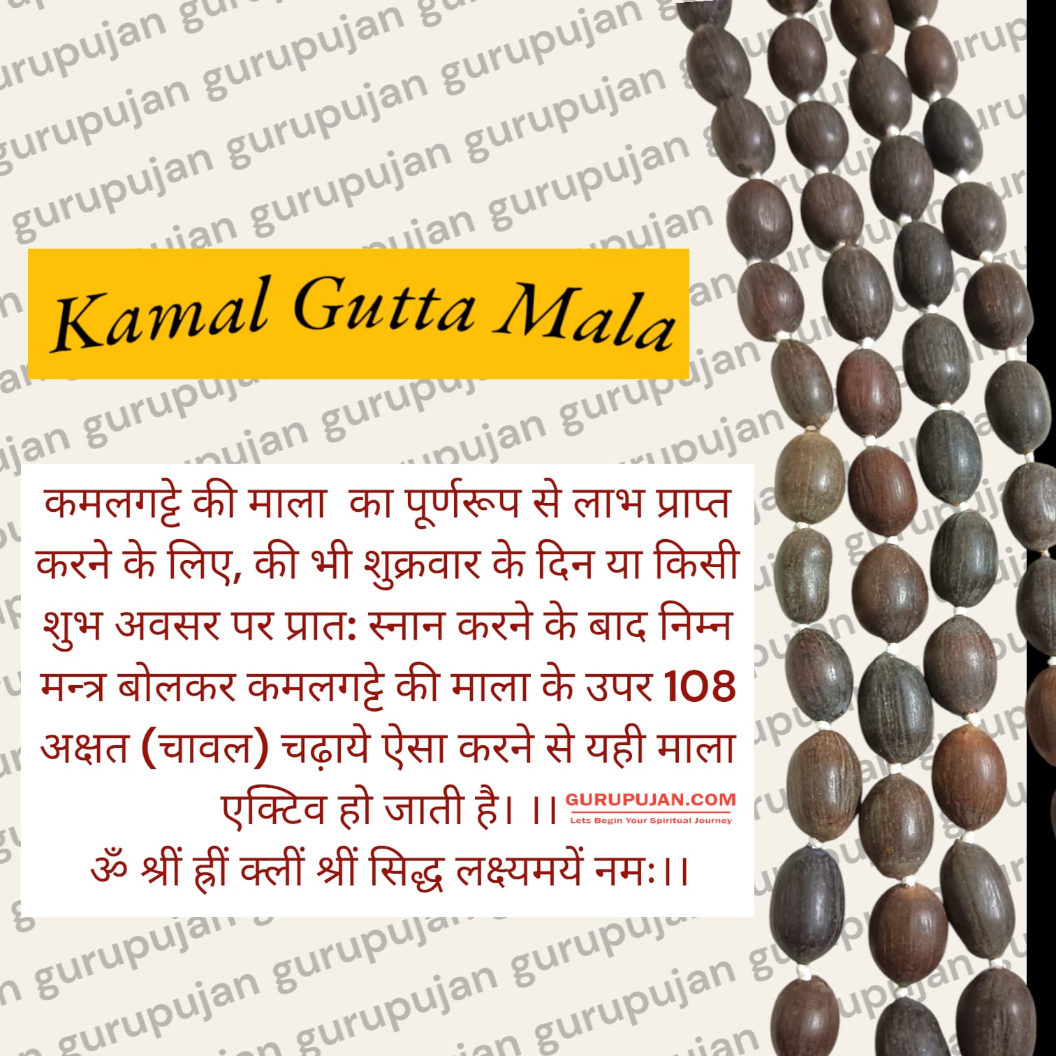 Close-up image of Original Kamal Gutta Mala made of pure lotus seeds, ideal for Lakshmi and Durga worship, available in 27+1 and 108+1 variants