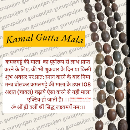 Close-up image of Original Kamal Gutta Mala made of pure lotus seeds, ideal for Lakshmi and Durga worship, available in 27+1 and 108+1 variants