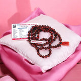 Close-up of Natural Lal Chandan Mala with rich red sandalwood beads used for meditation and spiritual rituals