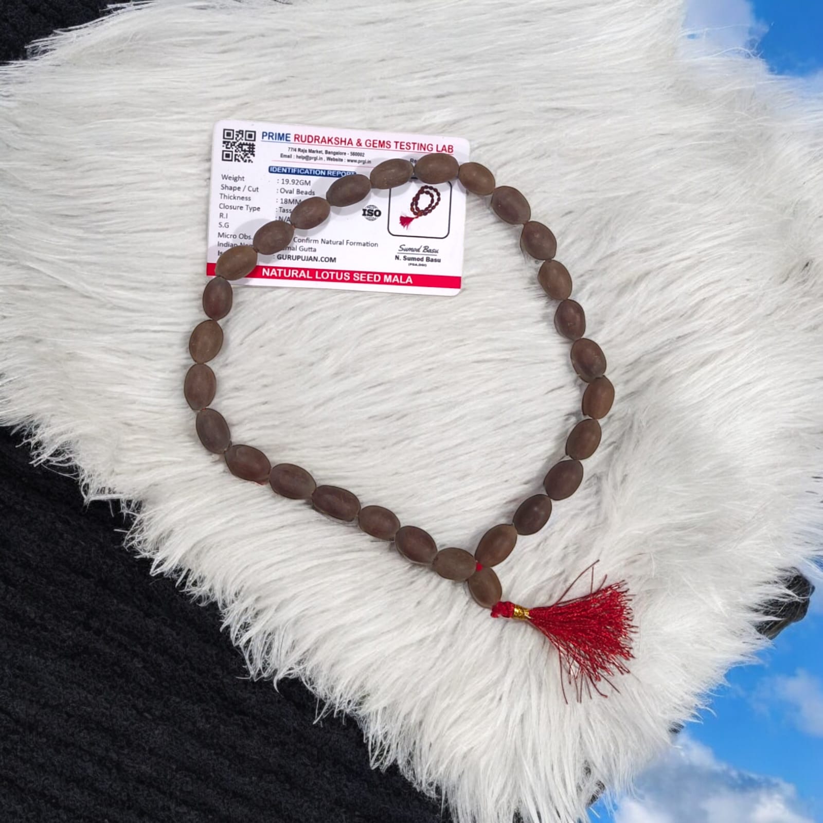 Close-up view of Kamal Gutta Mala (Lotus Seeds Mala) with natural lotus seed beads used for Goddess Lakshmi mantras and wealth attraction