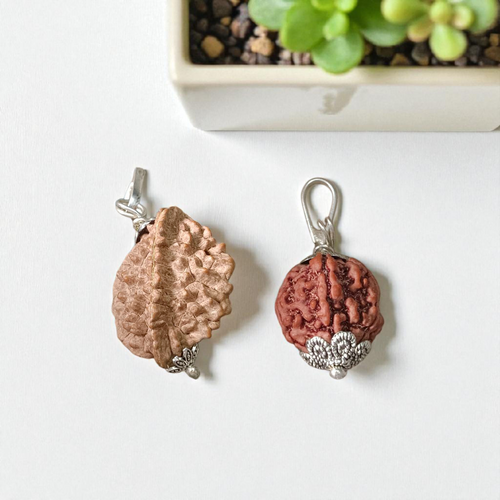 Combo of 2 Mukhi & 5 Mukhi Rudraksha Pendant | Lab Certified Spiritual Beads