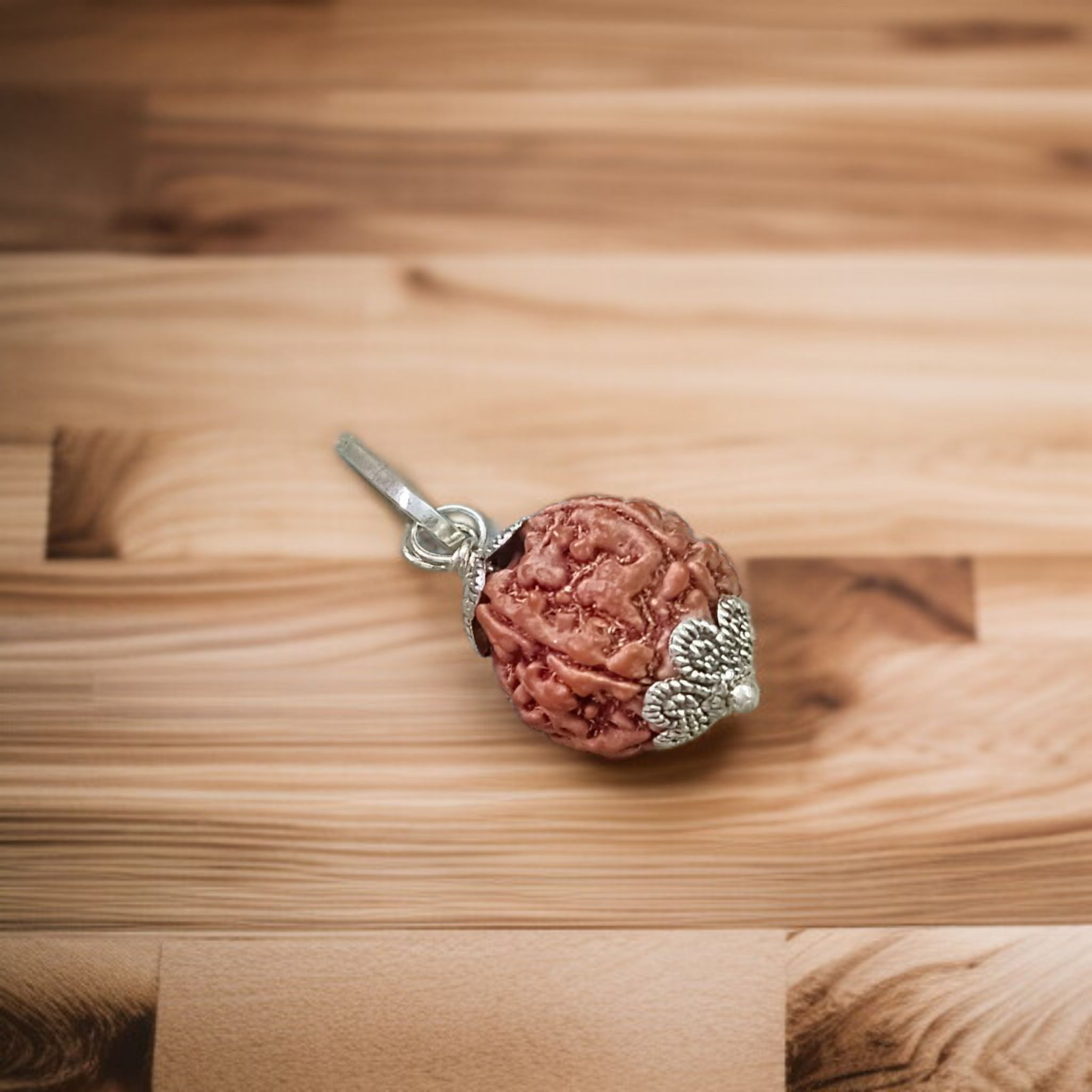 Combo Of 2 Mukhi With 5 Mukhi Rudraksha | Lab Certified
