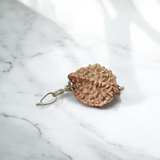 Combo Of 2 Mukhi With 5 Mukhi Rudraksha | Lab Certified