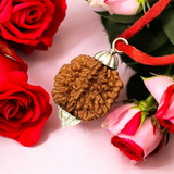 Combo Of 2 Mukhi With 6 Mukhi Rudraksha | Lab Certified