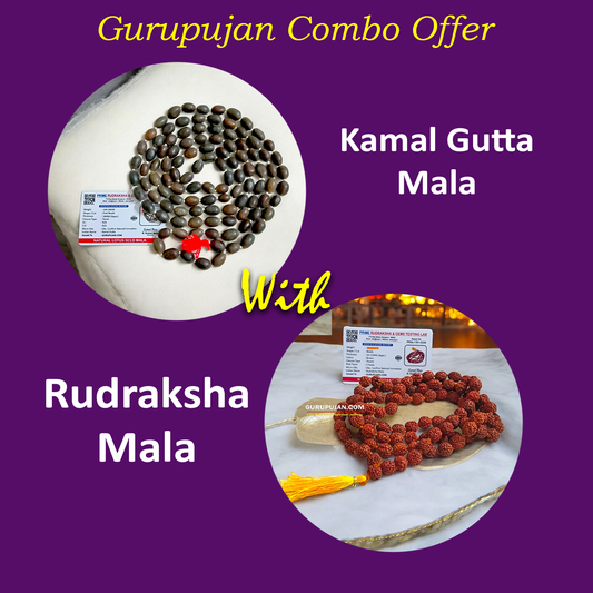Combo Of Kamal Gutta Mala With Rudraksha Mala | Lab Certified