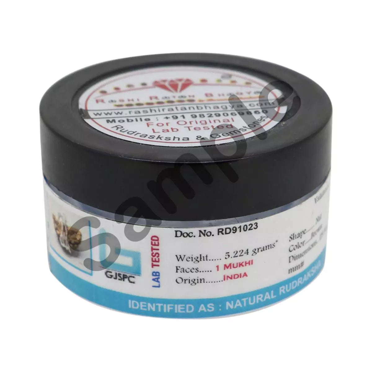 Combo of 1 Mukhi Rudraksha and 5 Mukhi Rudraksha, showcasing the sacred beads for spiritual growth and healing.