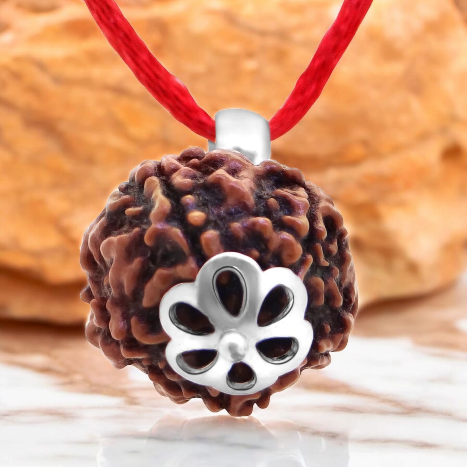 Combo of 1 Mukhi Rudraksha and 5 Mukhi Rudraksha, showcasing the sacred beads for spiritual growth and healing.