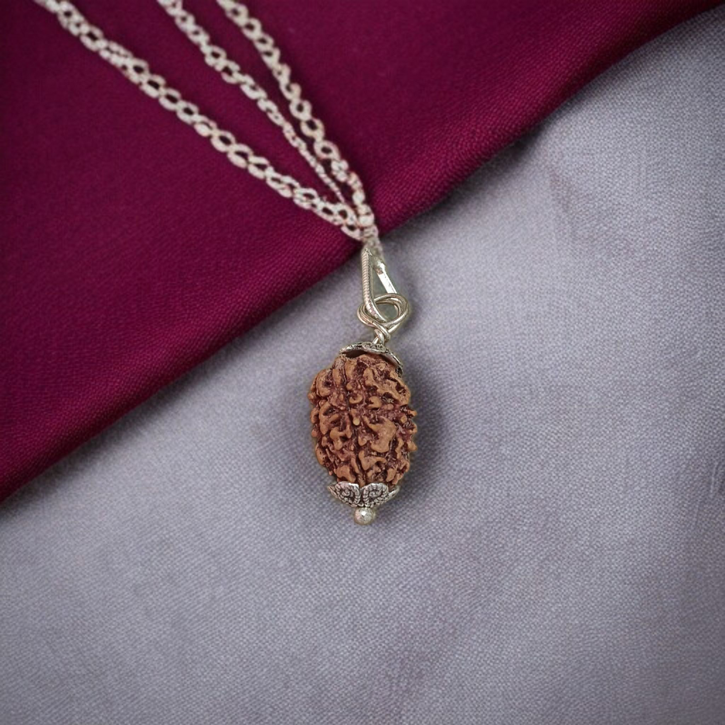 Combo of 1 Mukhi Rudraksha and 5 Mukhi Rudraksha, showcasing the sacred beads for spiritual growth and healing