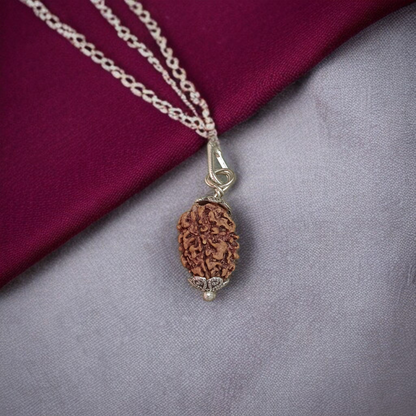 Combo of 1 Mukhi Rudraksha and 5 Mukhi Rudraksha, showcasing the sacred beads for spiritual growth and healing