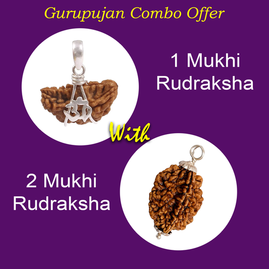 Combo of 1 Mukhi and 2 Mukhi Rudraksha Lab Certified beads for spiritual growth, meditation, and energy balance