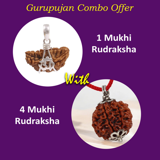 Combo of 1 Mukhi and 4 Mukhi Rudraksha Lab Certified beads for spiritual growth, creativity, and knowledge enhancement.