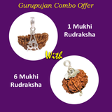 Combo of 1 Mukhi and 6 Mukhi Rudraksha Lab Certified beads for spiritual growth, confidence, and success.