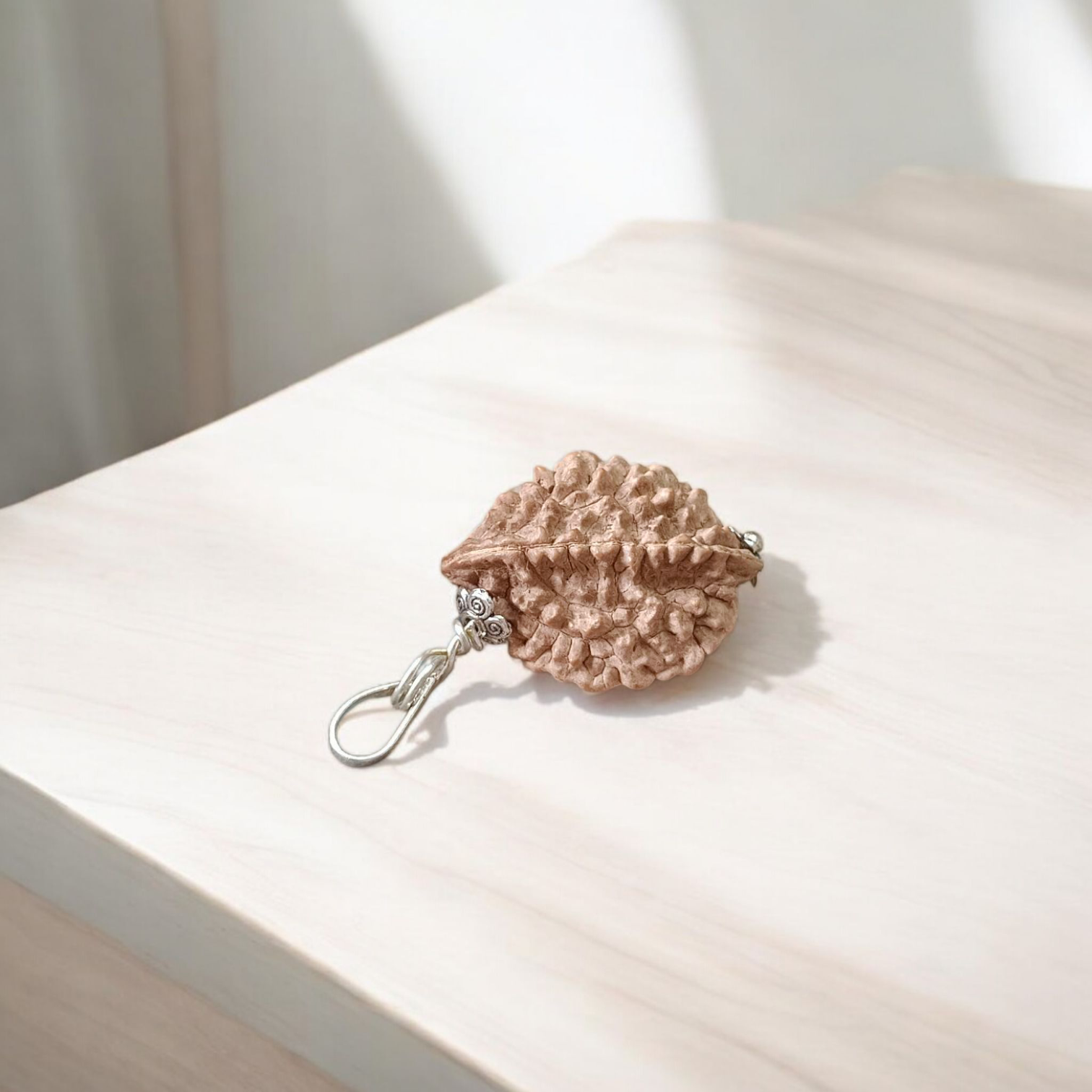 Combo of 1 Mukhi and 6 Mukhi Rudraksha Lab Certified beads for spiritual growth, confidence, and success