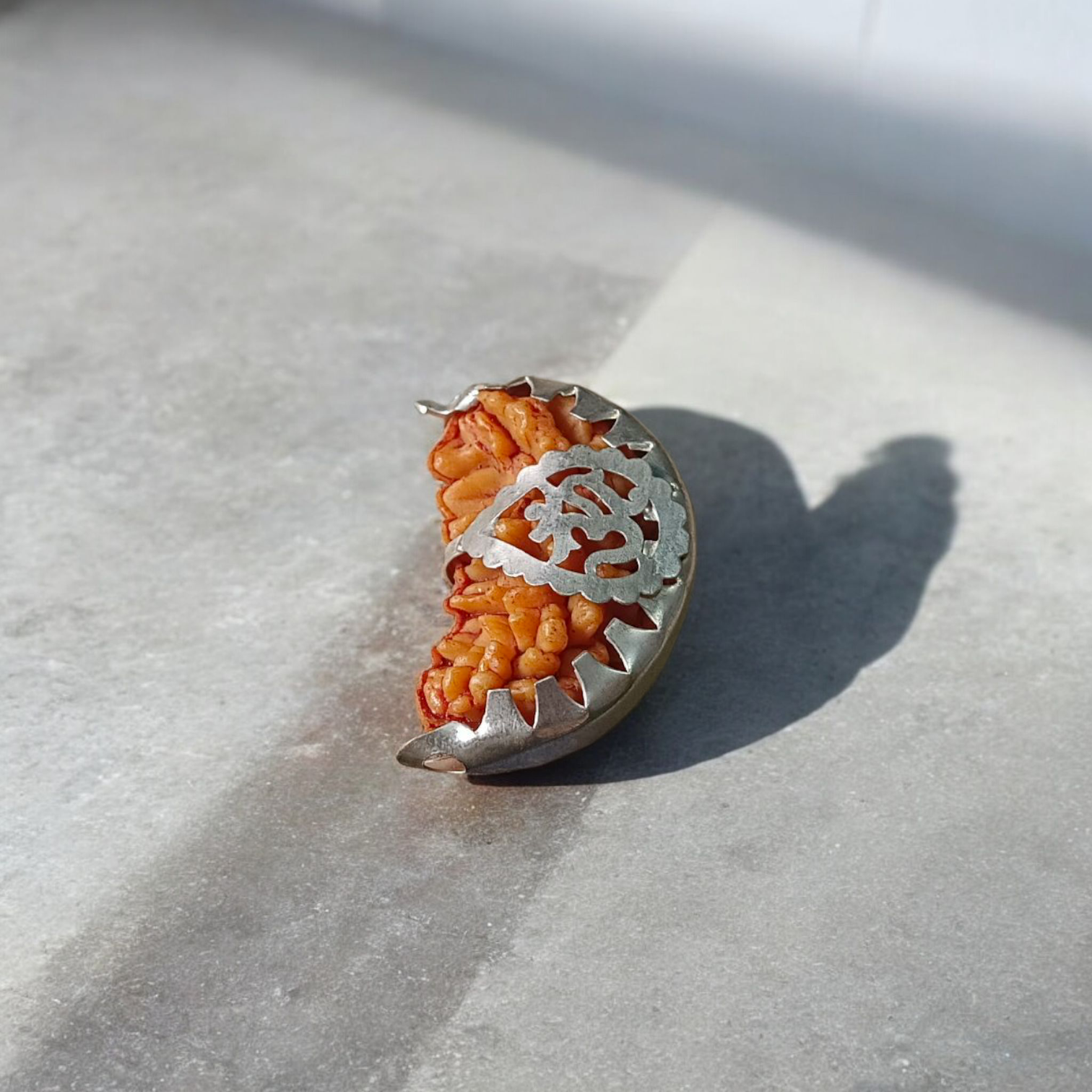 Combo of 1 Mukhi and 6 Mukhi Rudraksha Lab Certified beads for spiritual growth, confidence, and success