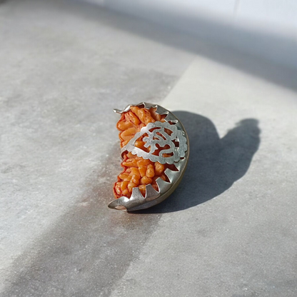 Combo of 1 Mukhi and 6 Mukhi Rudraksha Lab Certified beads for spiritual growth, confidence, and success