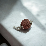 Combo of 1 Mukhi and 6 Mukhi Rudraksha Lab Certified beads for spiritual growth, confidence, and success