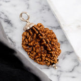 Combo of 2 Mukhi and 3 Mukhi Rudraksha Lab Certified beads for peace, transformation, and success.