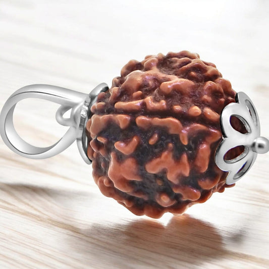 Combo of 4 Mukhi and 5 Mukhi Rudraksha Lab Certified beads for creativity, protection, and wisdom.