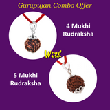 Combo of 4 Mukhi and 5 Mukhi Rudraksha Lab Certified beads for creativity, protection, and wisdom.