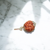 Combo of 4 Mukhi and 5 Mukhi Rudraksha Lab Certified beads for creativity, protection, and wisdom