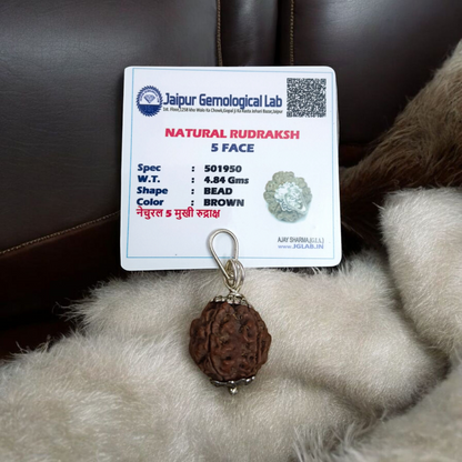 Combo of 5 Mukhi Rudraksha Mala and 5 Mukhi Rudraksha Pendant - Lab Certified - Gurupujan
