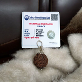 Combo of 5 Mukhi Rudraksha Mala and 5 Mukhi Rudraksha Pendant - Lab Certified - Gurupujan
