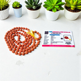 Combo of 5 Mukhi Rudraksha Mala and 5 Mukhi Rudraksha Pendant - Lab Certified - Gurupujan