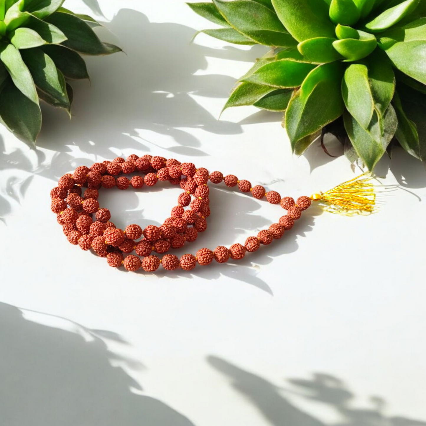 Combo of 5 Mukhi Rudraksha Mala and 5 Mukhi Rudraksha Pendant - Lab Certified - Gurupujan