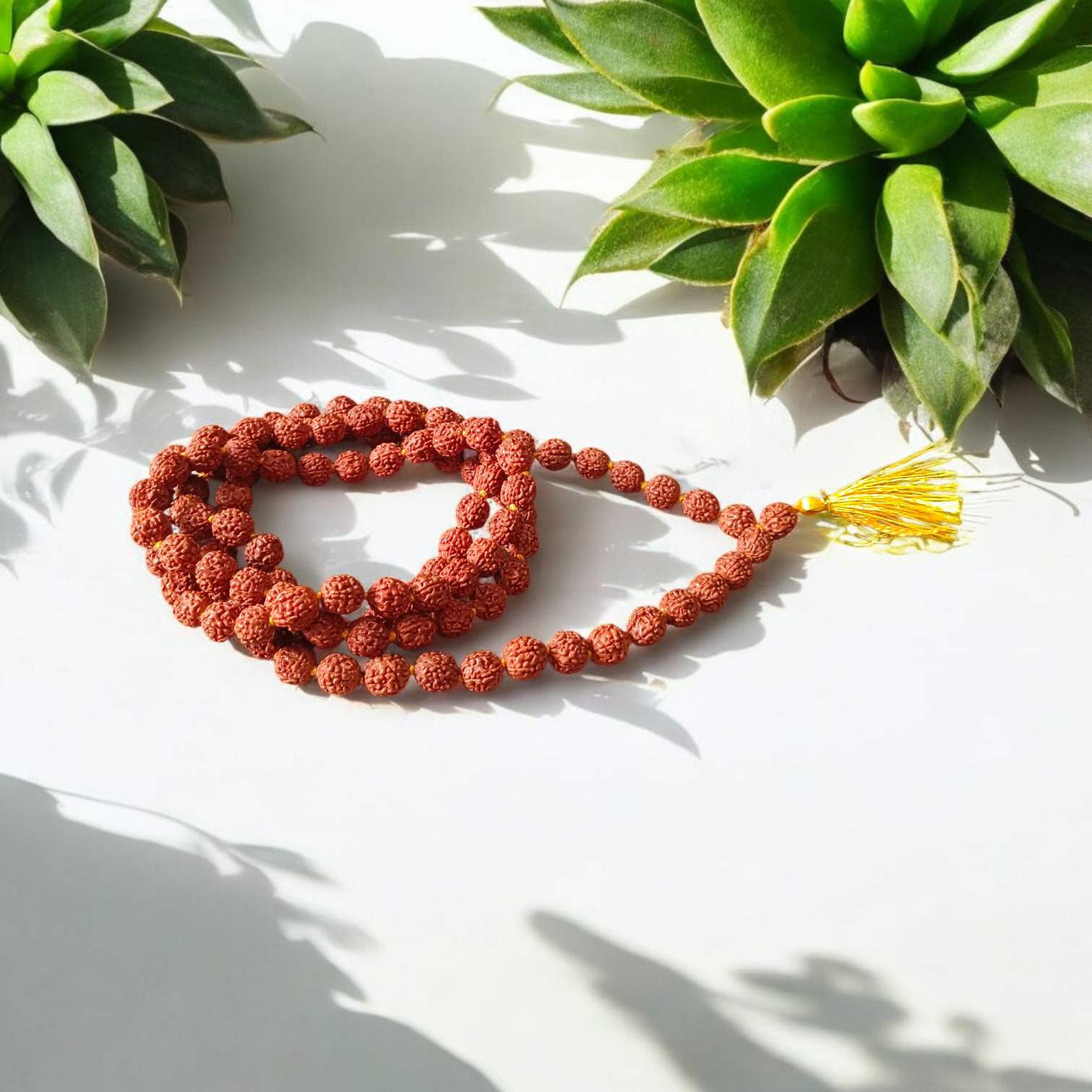 Combo of 5 Mukhi Rudraksha Mala and 5 Mukhi Rudraksha Pendant - Lab Certified - Gurupujan