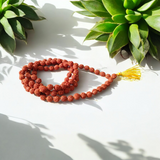 Combo of 5 Mukhi Rudraksha Mala and 5 Mukhi Rudraksha Pendant - Lab Certified - Gurupujan